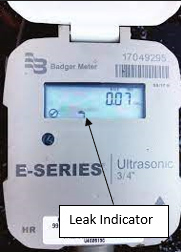 Leak indicator on meter
