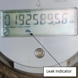 Leak indicator on a meter
