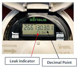 Leak indicator on a Sensus Meter